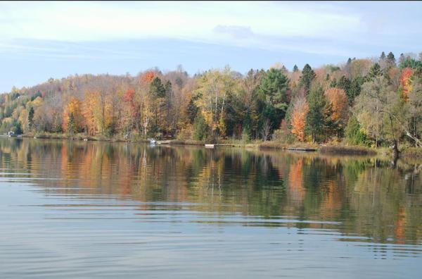 1377073_629867680398432_1854062751_n