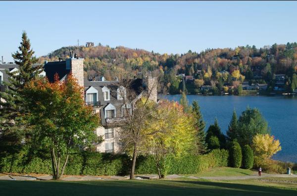 1378596_629866363731897_1438597689_n