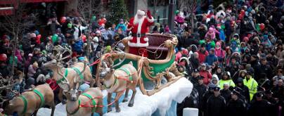 1461686_610910015635898_1002604026_n