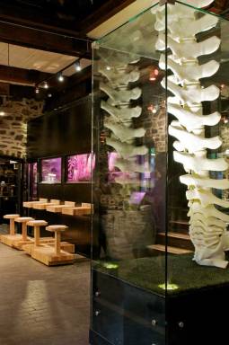 x.colonne-de-baleine