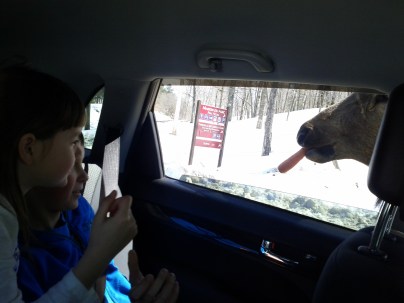 IMG_20140406_140428 (2)