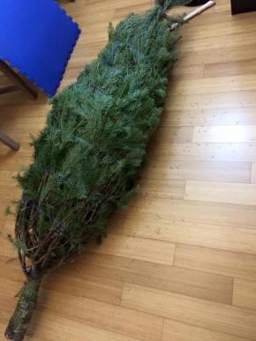 10868219_863100390408492_968390093100778911_n