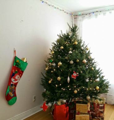 1395351_10203068050527072_5547079447091337277_n