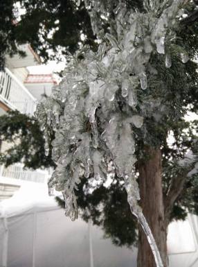 10426195_673035709475725_4049869750589052761_n