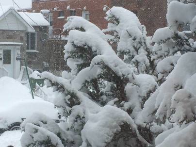 10341424_910061882379009_2053861076104681891_n