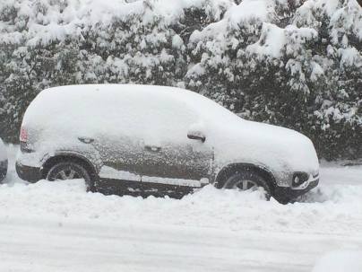 11054501_910061859045678_4320843926093000397_n