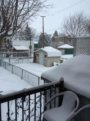 11066789_910061892379008_7572915004653140249_n