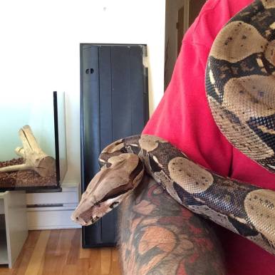 11148617_886376758096460_1842027663468138652_n