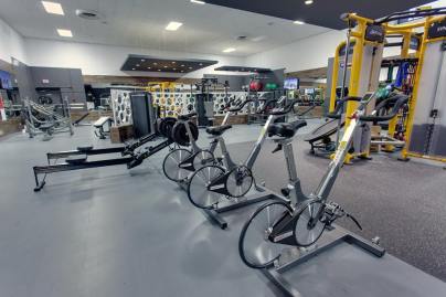 11101153_847318545303207_829282104997710036_n