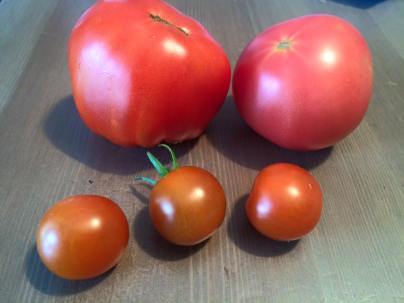 11800170_976113145773882_503601052205009005_n