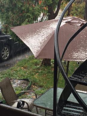 12096076_1015545298497333_628120307305386949_n