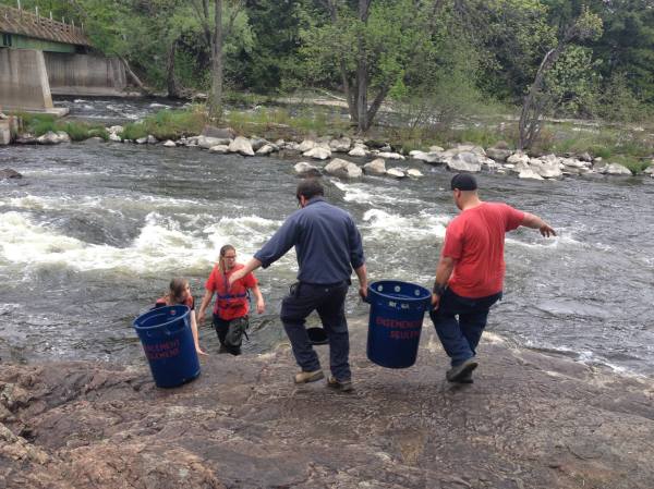 13268506_1386166004734293_5042666309014060948_o