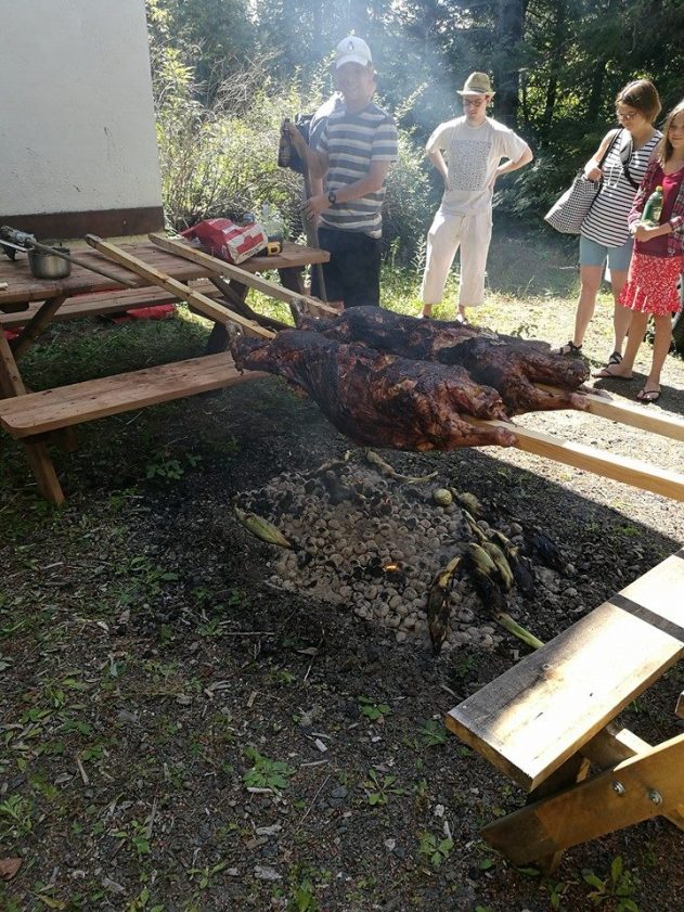 14063948_1381392378557387_468783106760939541_n