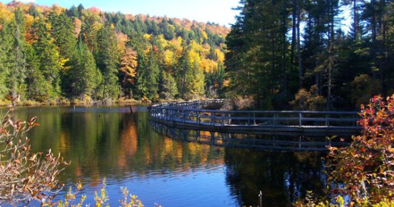 festival_coul-couleurs_saint_faustin