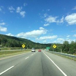 IMG_0397 (Small).JPG